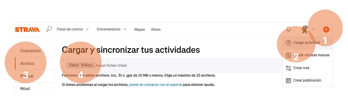 Importación Strava 1